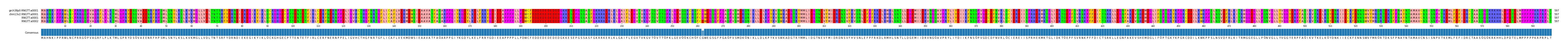 Multiple Alignments (by translate haplotype similarity)