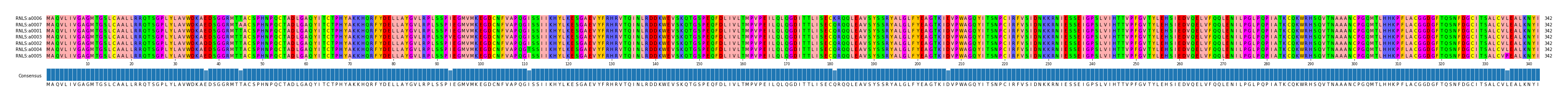 Multiple Alignments (by translate haplotype similarity)