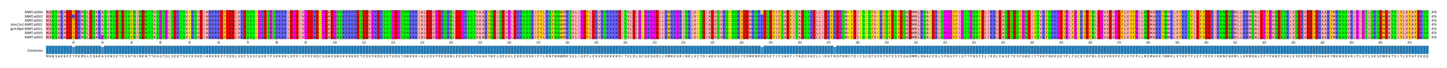 Multiple Alignments (by translate haplotype similarity)