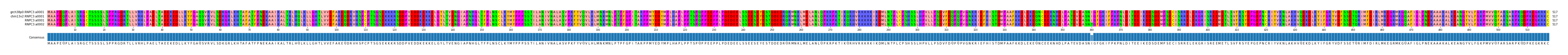 Multiple Alignments (by translate haplotype similarity)