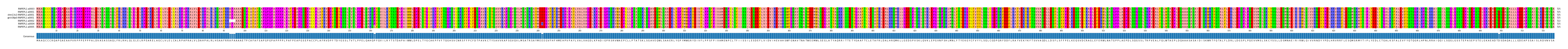 Multiple Alignments (by translate haplotype similarity)