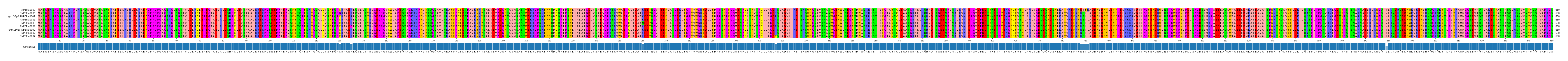 Multiple Alignments (by translate haplotype similarity)
