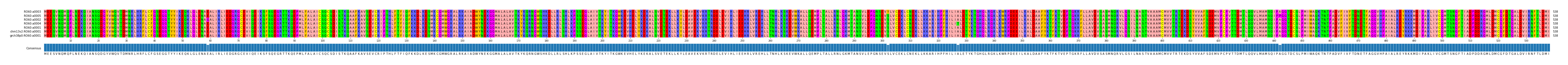 Multiple Alignments (by translate haplotype similarity)
