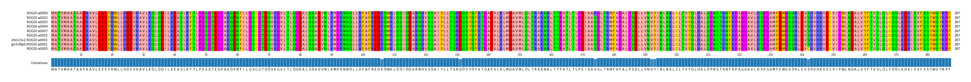Multiple Alignments (by translate haplotype similarity)