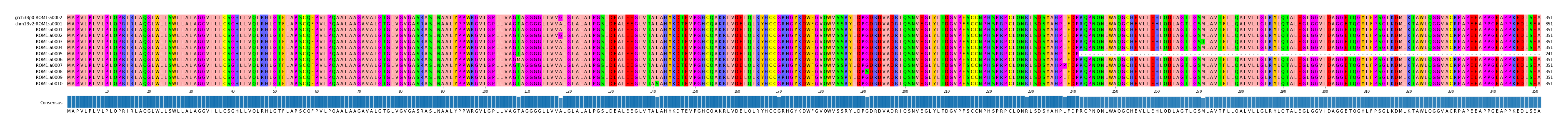 Multiple Alignments (by translate haplotype frequency)