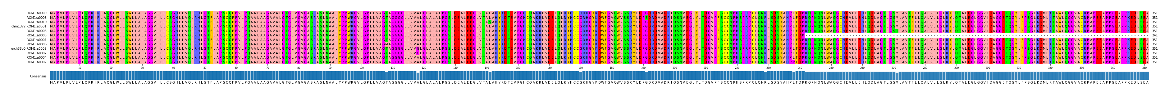 Multiple Alignments (by translate haplotype similarity)