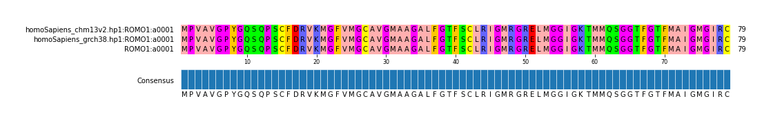 Multiple Alignments (by translate haplotype similarity)