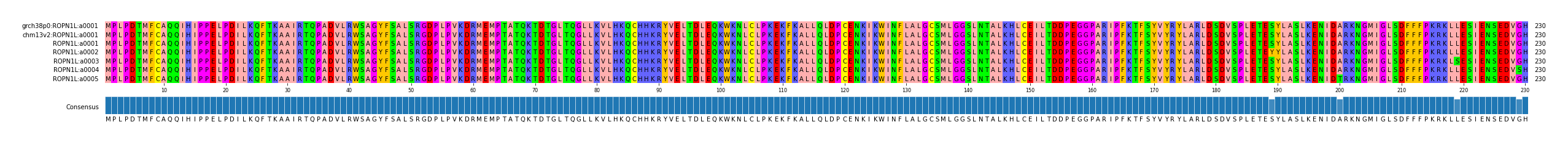 Multiple Alignments (by translate haplotype frequency)