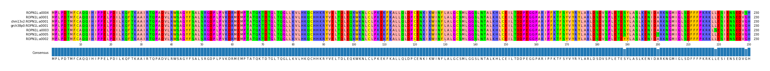 Multiple Alignments (by translate haplotype similarity)