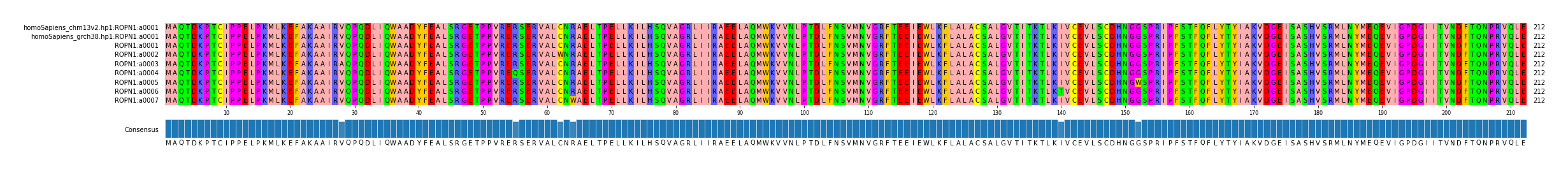 Multiple Alignments (by translate haplotype frequency)