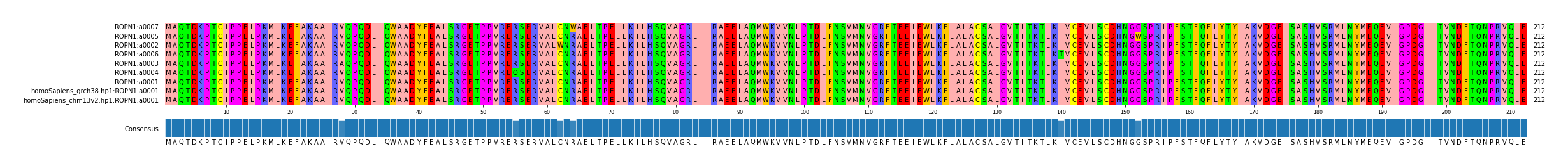 Multiple Alignments (by translate haplotype similarity)