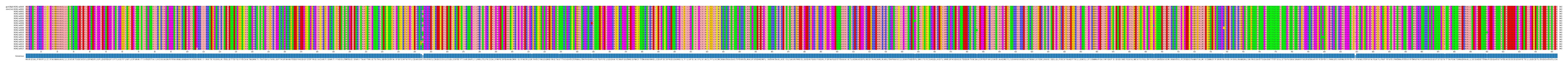 Multiple Alignments (by translate haplotype frequency)