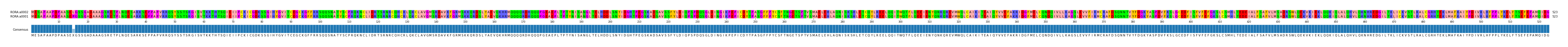 Multiple Alignments (by translate haplotype similarity)