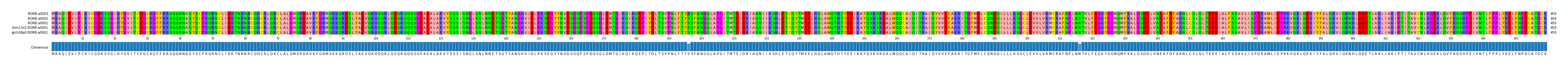 Multiple Alignments (by translate haplotype similarity)