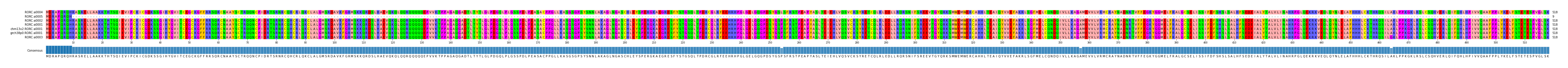 Multiple Alignments (by translate haplotype similarity)