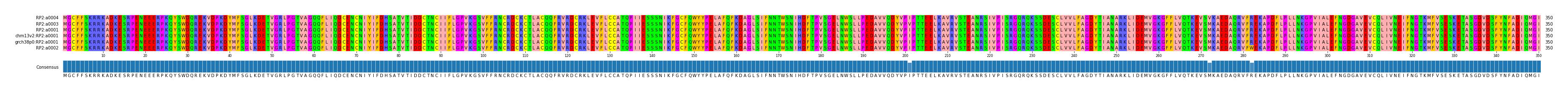 Multiple Alignments (by translate haplotype similarity)