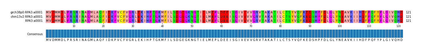 Multiple Alignments (by translate haplotype frequency)