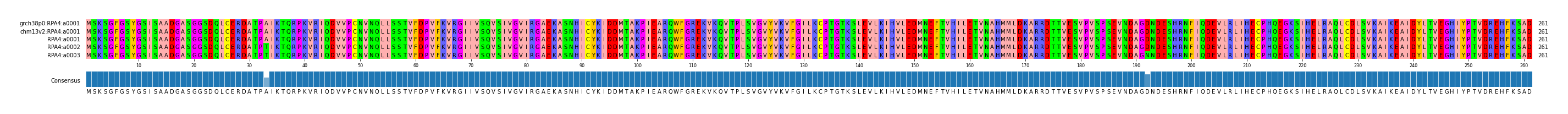 Multiple Alignments (by translate haplotype frequency)