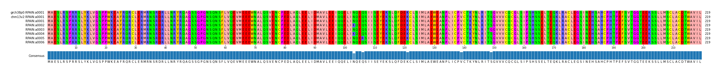 Multiple Alignments (by translate haplotype frequency)