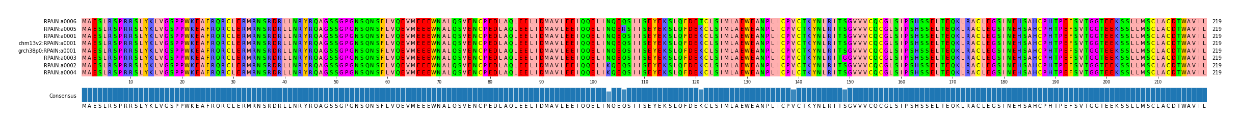 Multiple Alignments (by translate haplotype similarity)