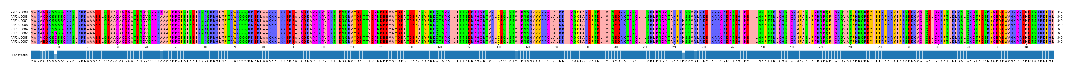 Multiple Alignments (by translate haplotype similarity)