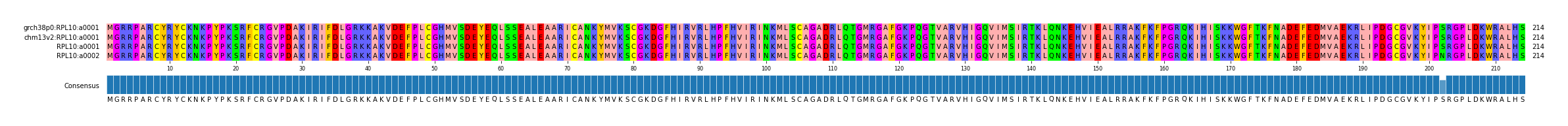 Multiple Alignments (by translate haplotype similarity)
