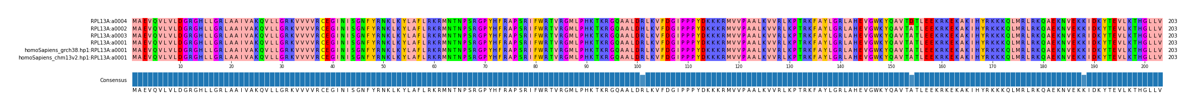 Multiple Alignments (by translate haplotype similarity)
