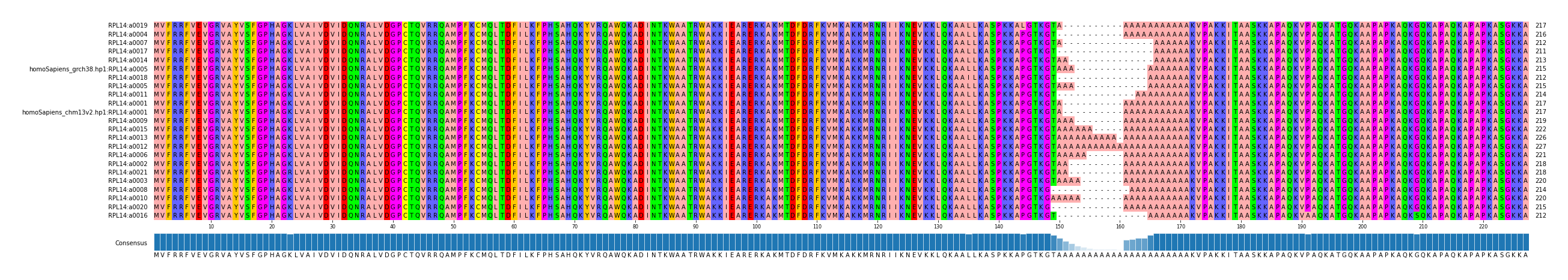 Multiple Alignments (by translate haplotype similarity)