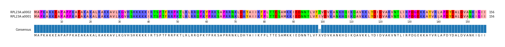 Multiple Alignments (by translate haplotype similarity)