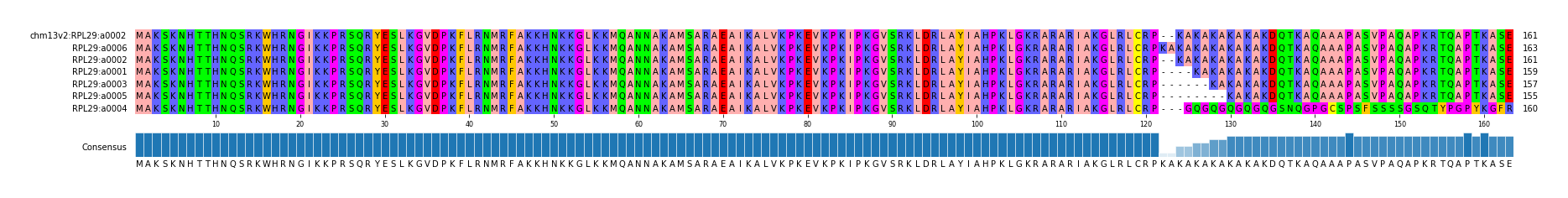 Multiple Alignments (by translate haplotype similarity)