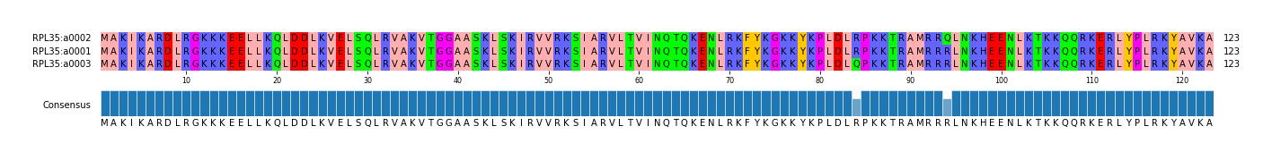 Multiple Alignments (by translate haplotype similarity)