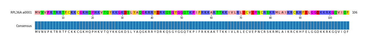 Multiple Alignments (by translate haplotype similarity)