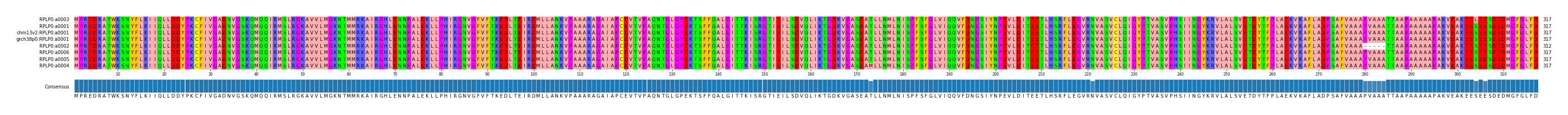 Multiple Alignments (by translate haplotype similarity)