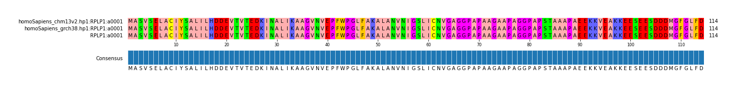 Multiple Alignments (by translate haplotype similarity)