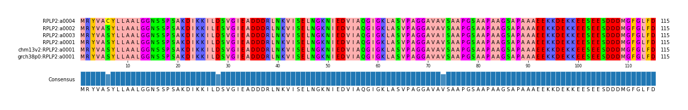 Multiple Alignments (by translate haplotype similarity)