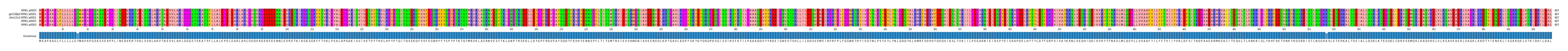 Multiple Alignments (by translate haplotype similarity)