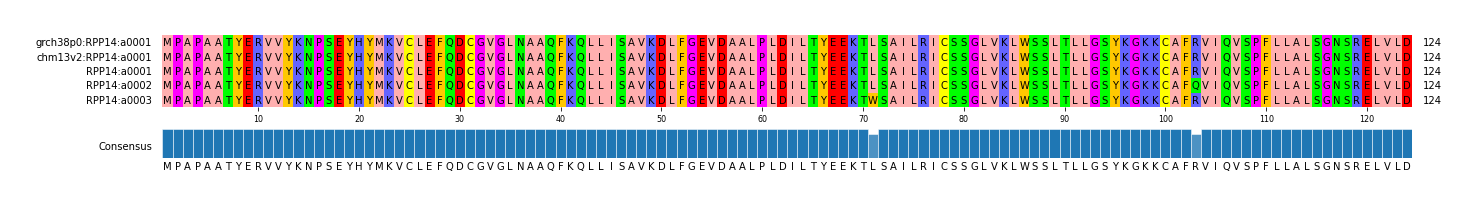 Multiple Alignments (by translate haplotype frequency)