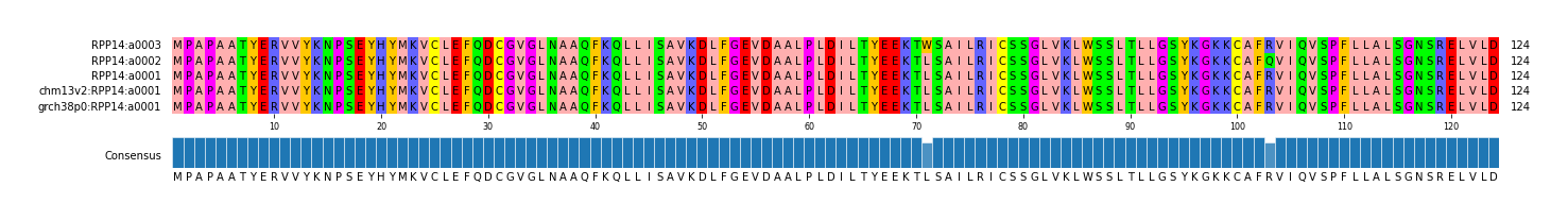 Multiple Alignments (by translate haplotype similarity)