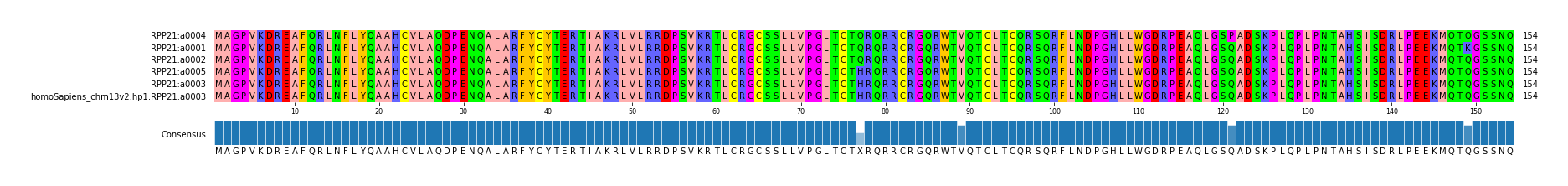 Multiple Alignments (by translate haplotype similarity)