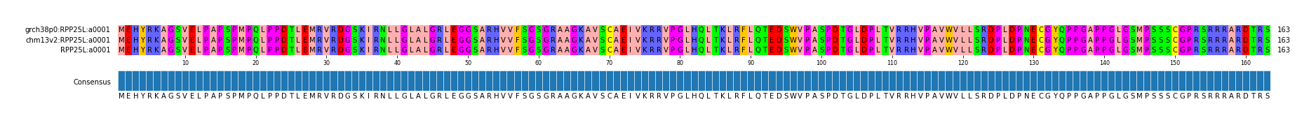 Multiple Alignments (by translate haplotype similarity)
