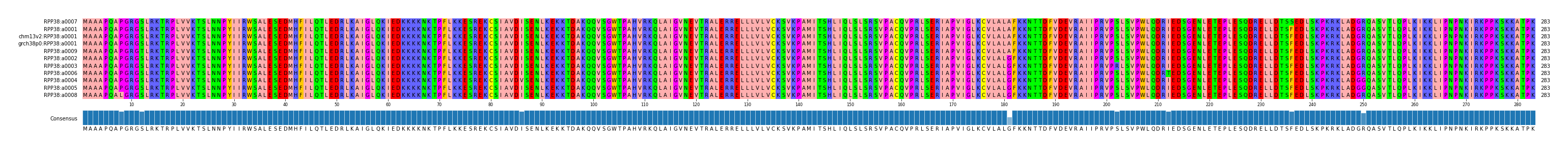 Multiple Alignments (by translate haplotype similarity)