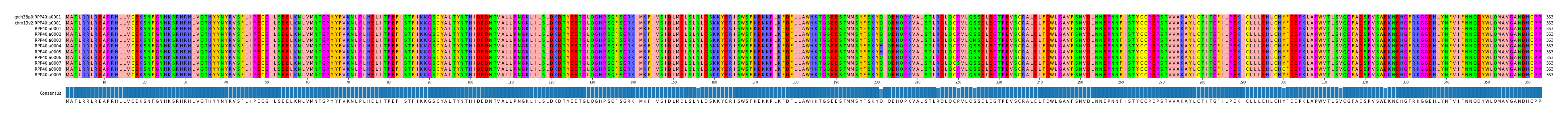 Multiple Alignments (by translate haplotype frequency)