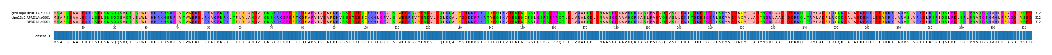 Multiple Alignments (by translate haplotype similarity)