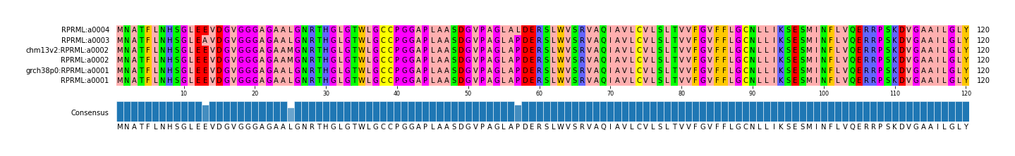 Multiple Alignments (by translate haplotype similarity)
