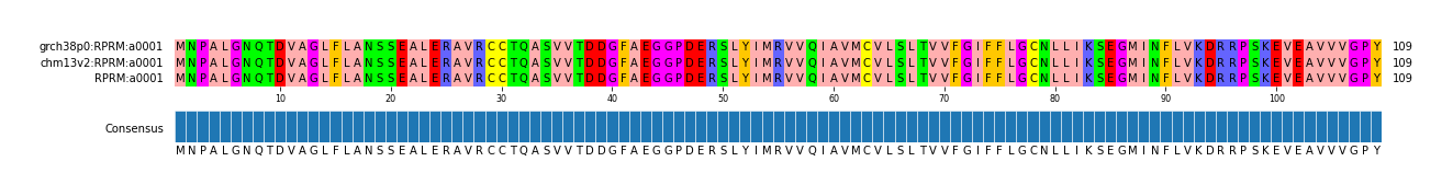 Multiple Alignments (by translate haplotype similarity)