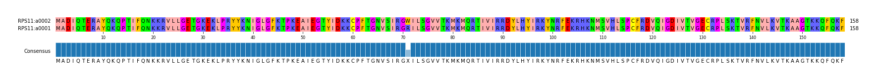 Multiple Alignments (by translate haplotype similarity)