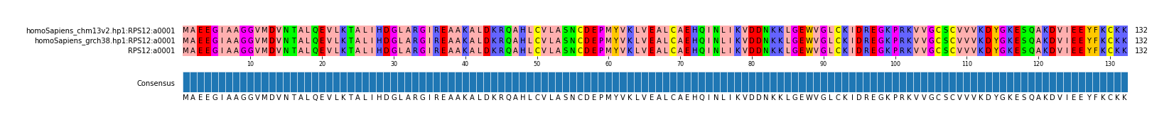 Multiple Alignments (by translate haplotype similarity)