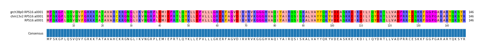 Multiple Alignments (by translate haplotype frequency)