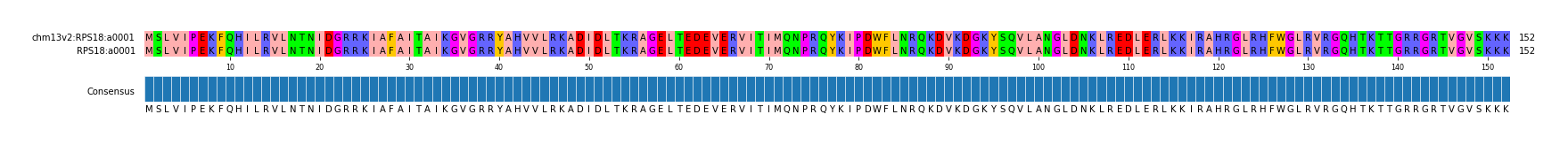 Multiple Alignments (by translate haplotype similarity)