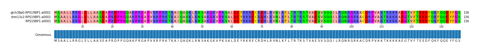 Multiple Alignments (by translate haplotype similarity)